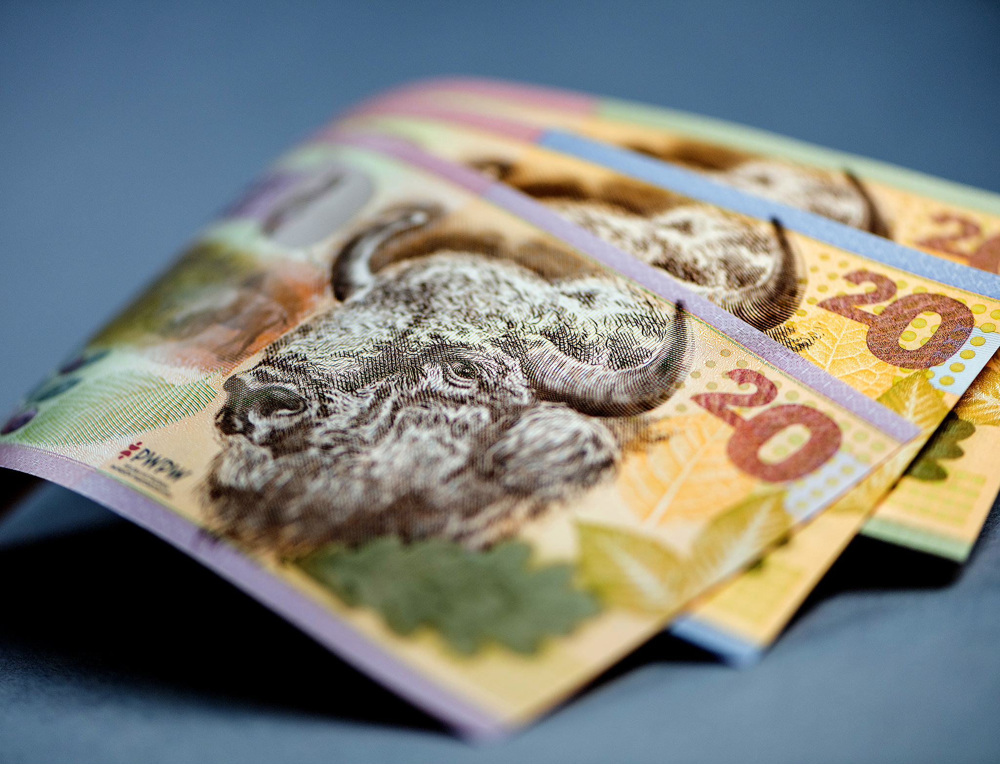 Banknote substrates PWPW PL